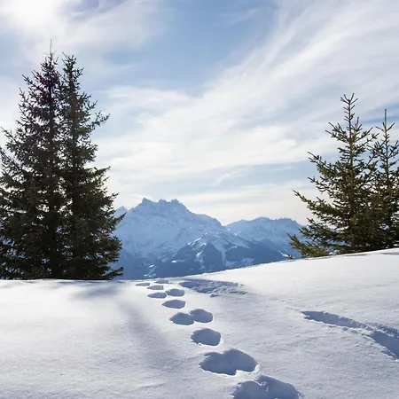 Alpesi faház Nirvana By Interhome Chesières