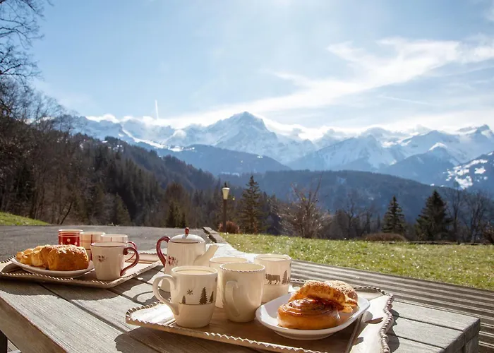 Alpesi faház Nirvana By Interhome Chesières