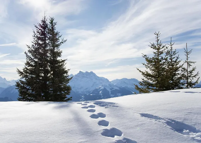 Alpesi faház Nirvana By Interhome Chesières